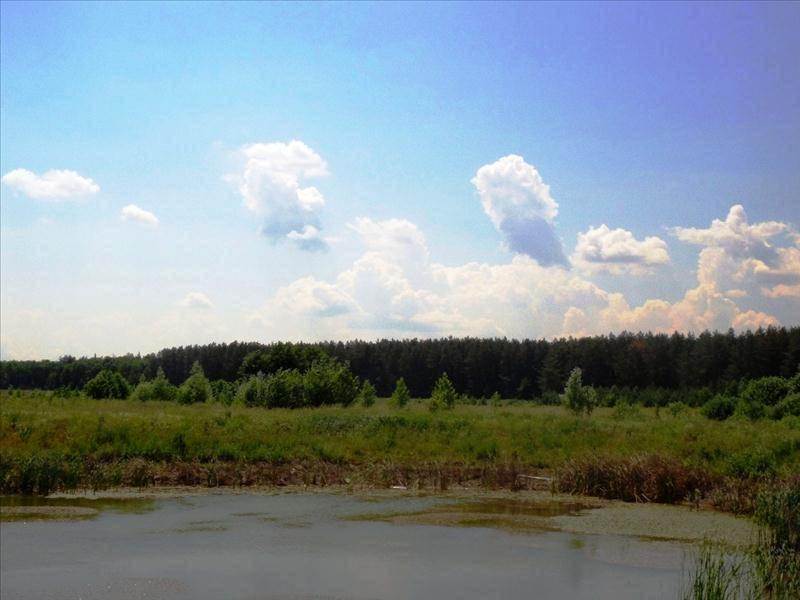 Продам земельну ділянку. Київська область, Колонщина