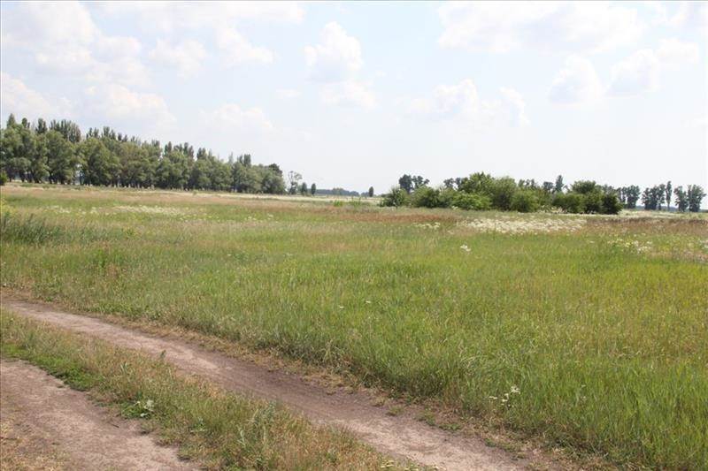 Продам земельный участок. Киевская область, Глубокое