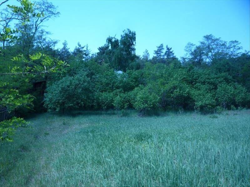 Продам земельный участок. Киевская область, Процов, около воды и леса