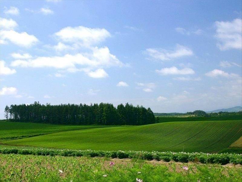 Продам земельну ділянку. Київська область, Бабинці
