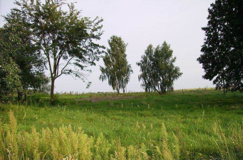 Продам земельну ділянку. Київська область, Макарів