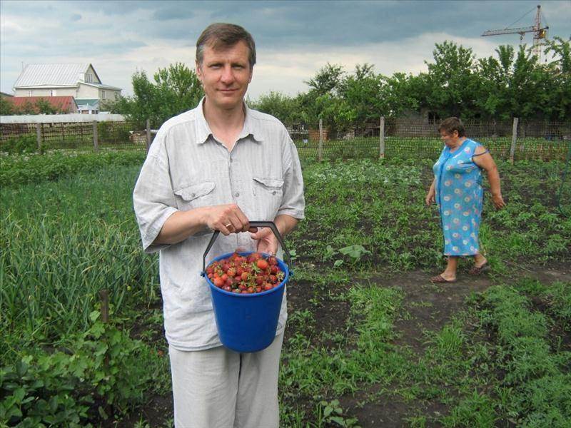 Продам земельный участок. Киевская область, Иванков, центр